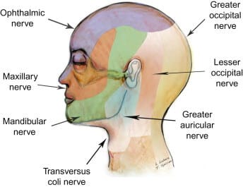 sensation of the scalp